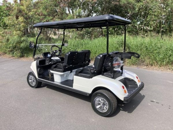 Carro Electrico EVolution Carrier 4 - Imagen 2