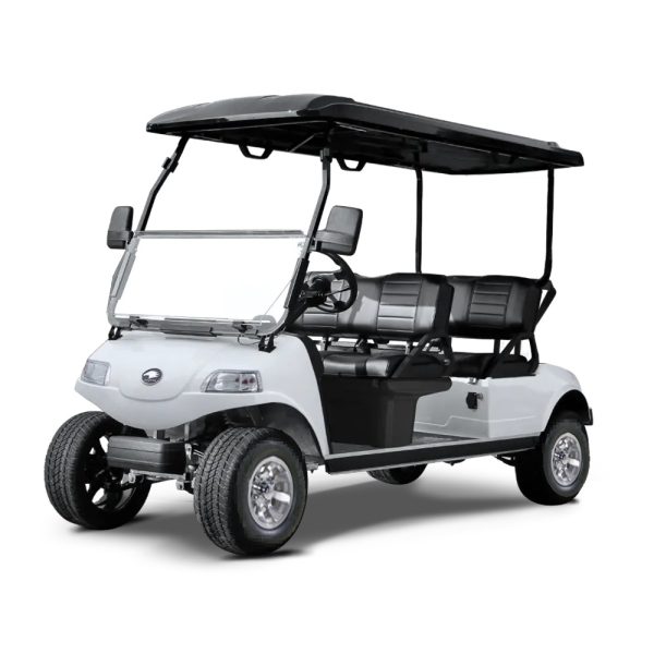 Carro Electrico EVolution Carrier 4