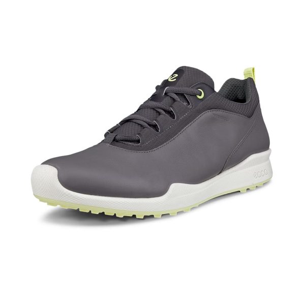 Zapato ECCO BIOM Hybrid Steel